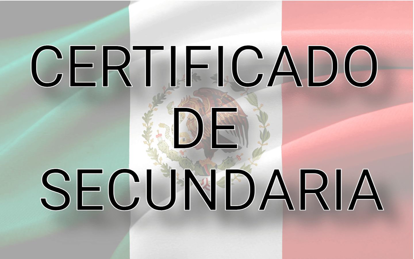 Cómo obtener el certificado de estudios primario y secundario en línea en México