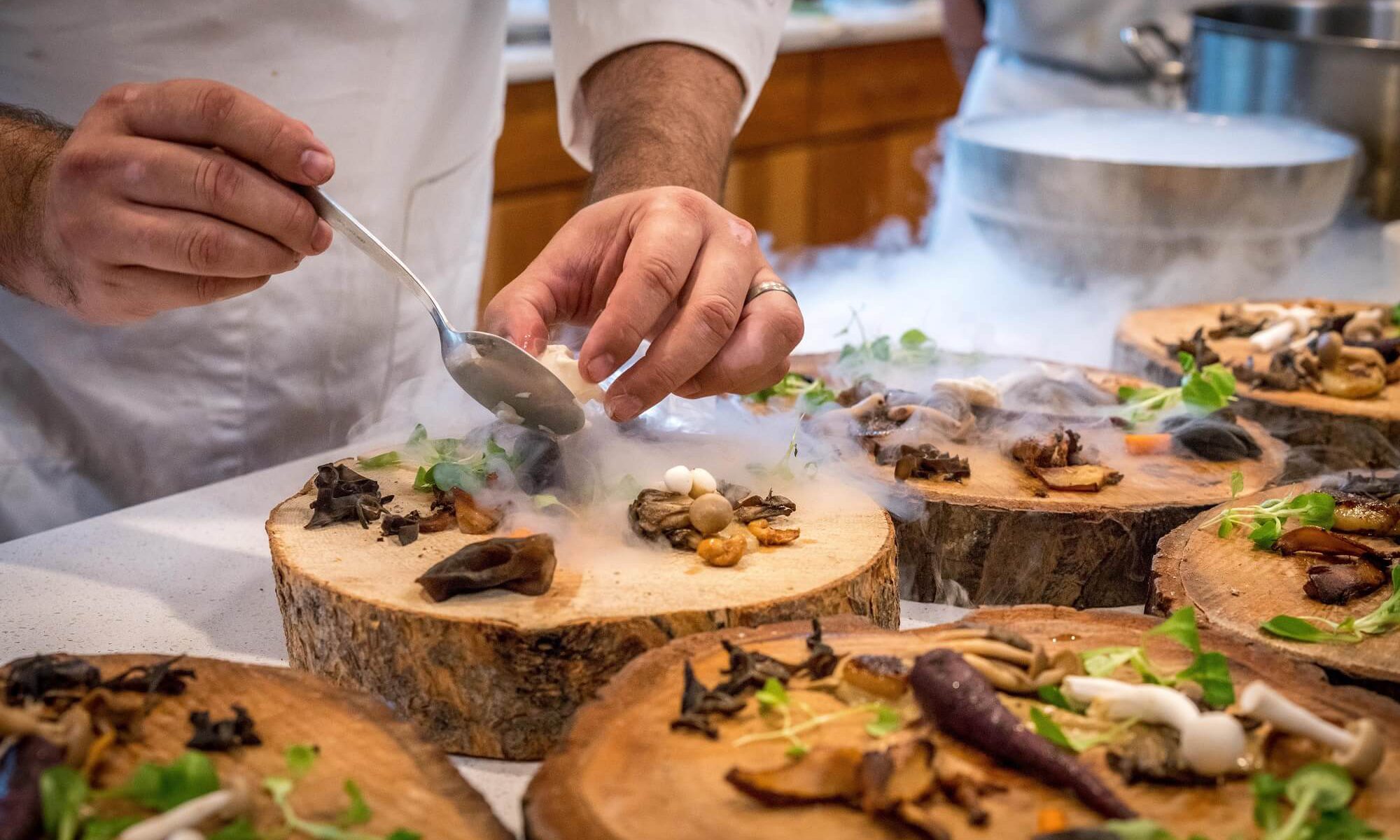 Qué es la licenciatura en gastronomía y dónde estudiar.